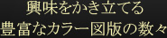 興味をかき立てる豊富なカラー図版の数々