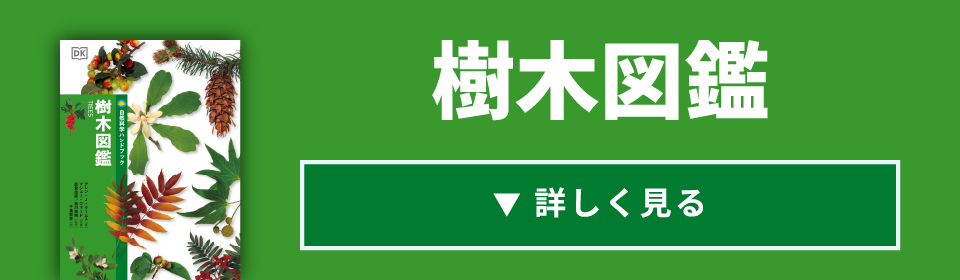 岩石・鉱物図鑑