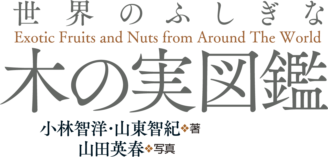 世界のふしぎな木の実図鑑
