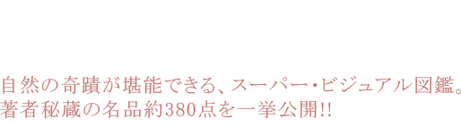 こんな石の風景、一度だって見たことない......(溜息)。自然の奇蹟が堪能できる、スーパー・ビジュアル図鑑。著者秘蔵の名品約380点を一挙公開!!